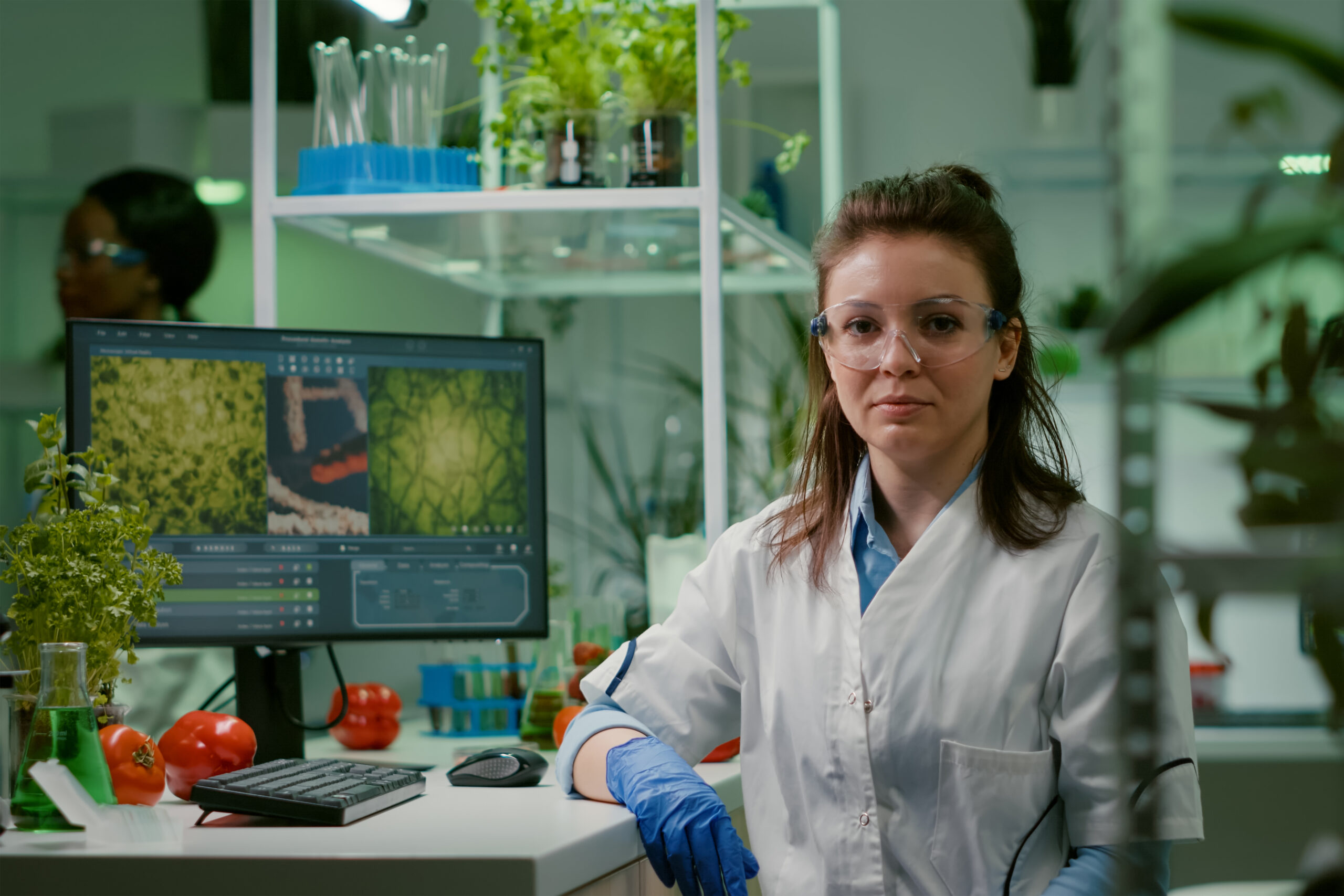 Listing Taxonomy Image