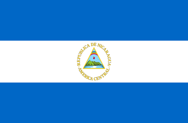 CIDH asegura que las elecciones de Nicaragua buscan perpetuar a Ortega