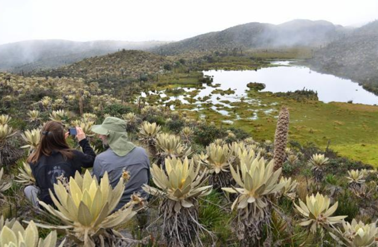 Colombia apuesta por el turismo sostenible con el medio ambiente y responsable con las comunidades locales