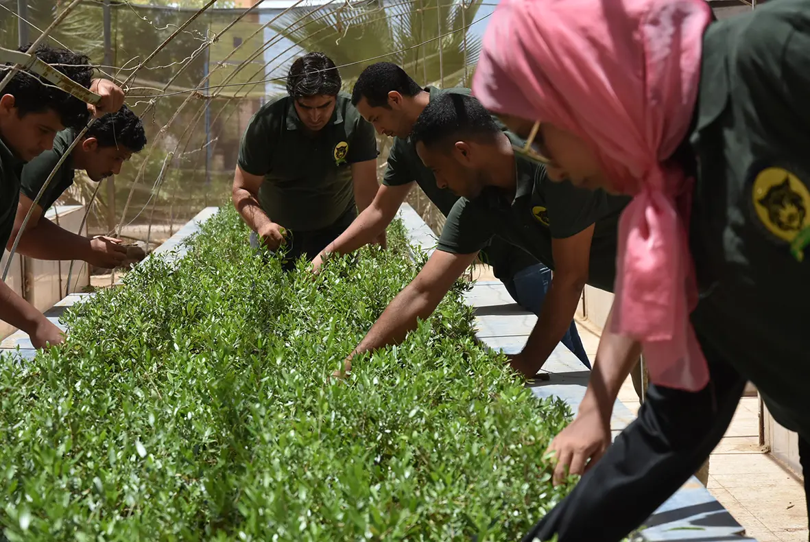 Migrantes trabajando en agricultura en España