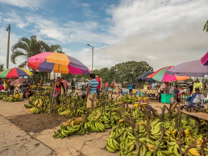 Mercado de plátanos en la Amazonía colombiana