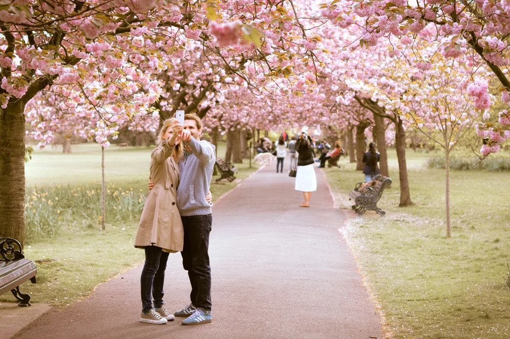 Florecimiento de los cerezos Londres 2026 en Greenwich Park con visitantes tomando fotografías bajo los árboles en flor.