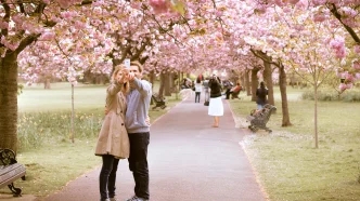 Florecimiento de los cerezos Londres 2026 en Greenwich Park con visitantes tomando fotografías bajo los árboles en flor.