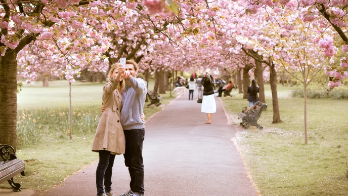 Florecimiento de los cerezos Londres 2026 en Greenwich Park con visitantes tomando fotografías bajo los árboles en flor.