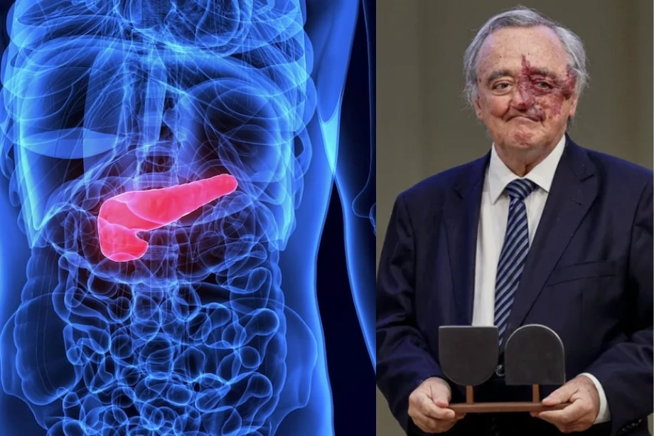 avance contra el cáncer de páncreas liderado por Mariano Barbacid y su investigación en el CNIO