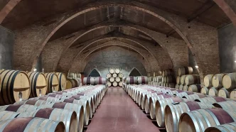 Interior de la catedral del vino en las Bodegas de Raimat durante la Aplec del Caragol Lleida.