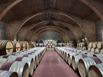 Interior de la catedral del vino en las Bodegas de Raimat durante la Aplec del Caragol Lleida.