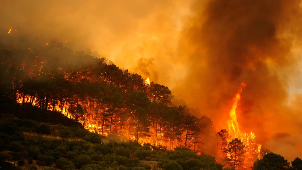 Llamas y humo denso devorando una zona boscosa durante los incendios forestales en España.