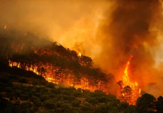 Llamas y humo denso devorando una zona boscosa durante los incendios forestales en España.