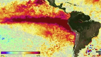 Mapa satelital en tonos cálidos que muestra el aumento de la temperatura superficial del mar en el océano Pacífico