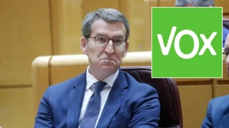 Alberto Núñez Feijóo sentado en el escaño del Congreso junto al logotipo verde de Vox en un recuadro superior.